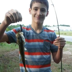 Meet your Posher, Caleb